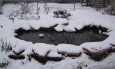 How to winterize a pond